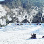 Busan: Winter Healing Park and (Gyeongju/Daegu) One Day Tour - Visiting Gyeongju: A City Filled with Heritage