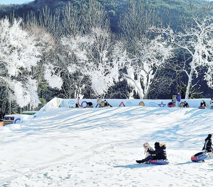 Busan: Winter Healing Park and (Gyeongju/Daegu) One Day Tour - Visiting Gyeongju: A City Filled with Heritage