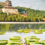 BusDa-Full-Day Bus Trips: Mutianyu, Summer & Old Summer Palaces - The Summer Palace: A Serene Imperial Retreat