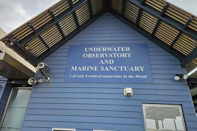 Busselton Jetty and Underwater Observatory - What’s Included and What Costs Extra