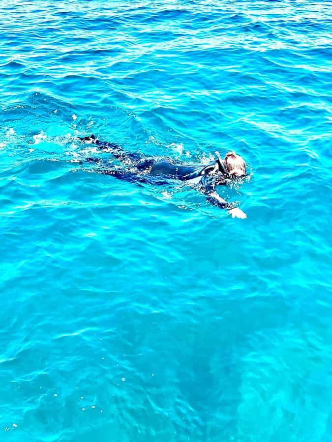 Busselton: Jetty Snorkeling Tour with Underwater Sculptures - The Significance of the Marine Environment