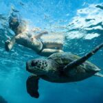 Byron Bay: Snorkeling Tour at Julian Rocks, Nguthungulli - In-Depth Look at the Tour Itinerary