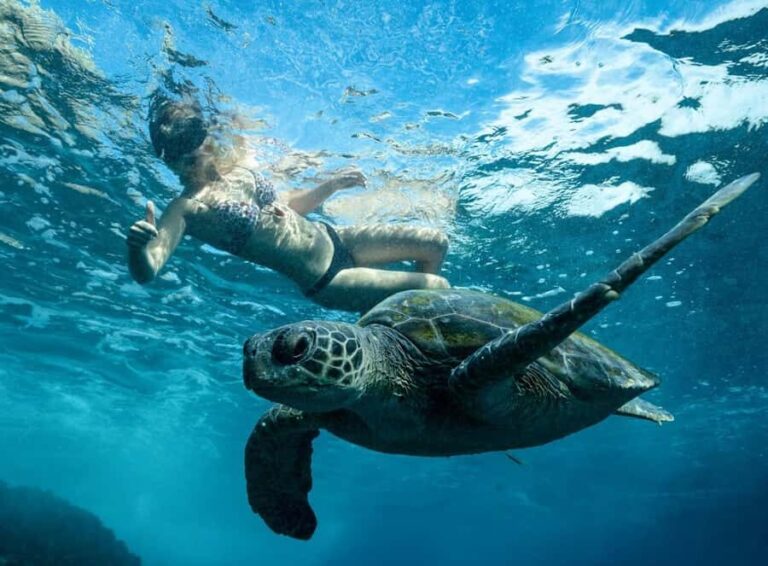 Byron Bay: Snorkeling Tour at Julian Rocks, Nguthungulli - In-Depth Look at the Tour Itinerary