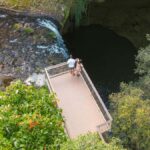 Byron Bay: Wildlife and Waterfall Tour with Breakfast - Who Will Love This Tour?