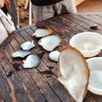 Cable Car and Landscape South in Phu Quoc Island - FAQ