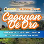Cagayan De Oro: Bukidnon Communal Ranch & Dahilayan Day Tour - What Sets This Tour Apart
