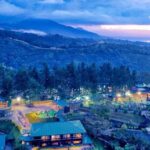 Cagayan de Oro: Bukidnon Day Trip with Dahilayan Forest Farm - The Highlight: Pineapple Plantation at Camp Phillips