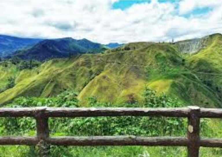 Cagayan de Oro: Bukidnon Day Trip with Dahilayan Forest Farm - Transportation, Timing & Group Size