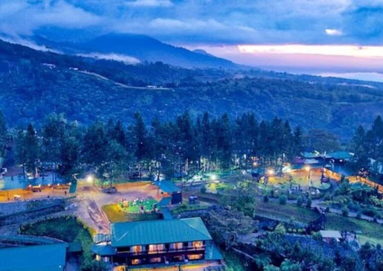 Cagayan de Oro: Bukidnon Day Trip with Dahilayan Forest Farm - The Highlight: Pineapple Plantation at Camp Phillips