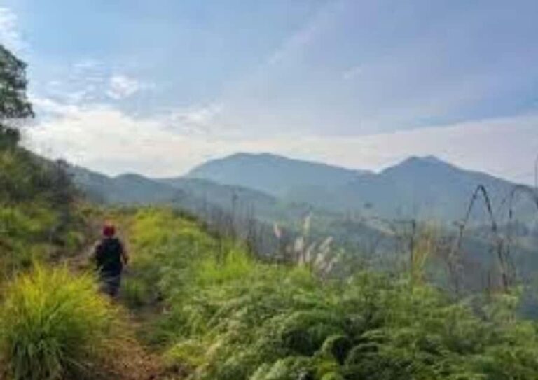 Cagayan de Oro: Sunrise Mountain Trek (BUKIDNON) - Practical Details and What to Bring