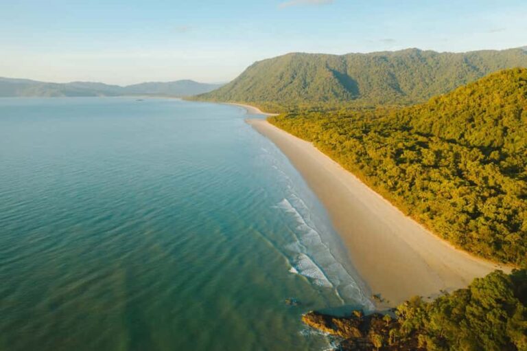 Cairns: Cape Tribulation, Mossman Gorge & Daintree Day Tour - Itinerary Breakdown