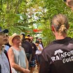 Cairns: Daintree Rainforest and Mossman Gorge Tour - Transportation, Timing, and Group Dynamics