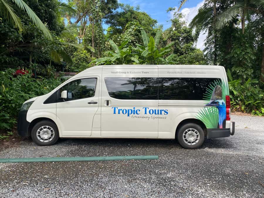 Cairns: Daintree River Cruise and Mossman Gorge - The Value of This Tour