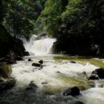 Cairns Day Tour Private Waterfall - In-Depth Look at the Itinerary