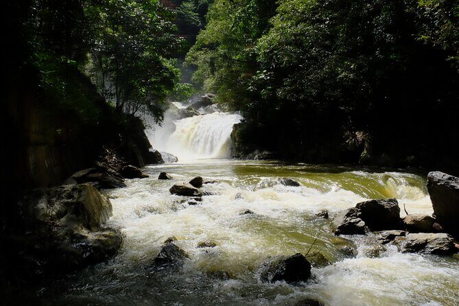 Cairns Day Tour Private Waterfall - In-Depth Look at the Itinerary