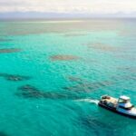 Cairns: Great Barrier Reef Fishing Charter with Lunch - What Makes This Tour Stand Out?