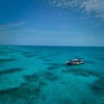 Cairns: Great Barrier Reef Half-Day Snorkelling Tour - The Downside: Things to Keep in Mind