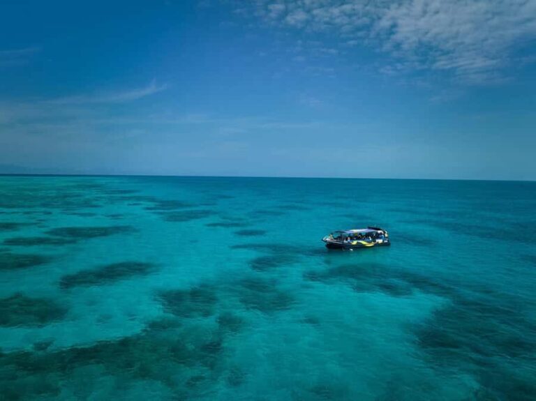 Cairns: Great Barrier Reef Half-Day Snorkelling Tour - The Downside: Things to Keep in Mind