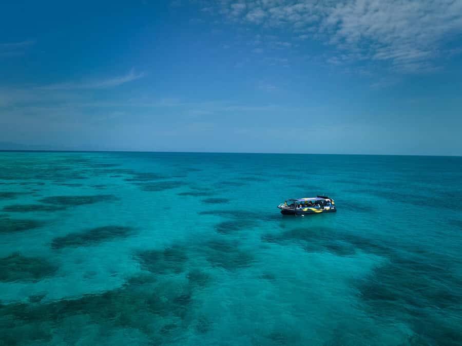 Cairns: Great Barrier Reef Half-Day Snorkelling Tour - The Downside: Things to Keep in Mind