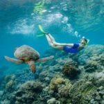 Cairns: Great Barrier Reef Pontoon, Travel by Helicopter - What Makes This Tour Stand Out?