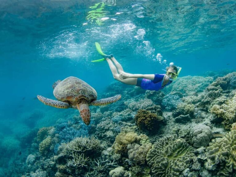 Cairns: Great Barrier Reef Pontoon, Travel by Helicopter - What Makes This Tour Stand Out?