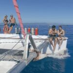 Cairns: Great Barrier Reef Snorkeling Tour with Lunch - Is This Tour Worth It?