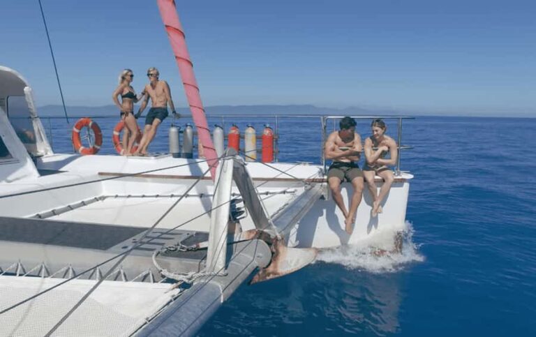 Cairns: Great Barrier Reef Snorkeling Tour with Lunch - Is This Tour Worth It?