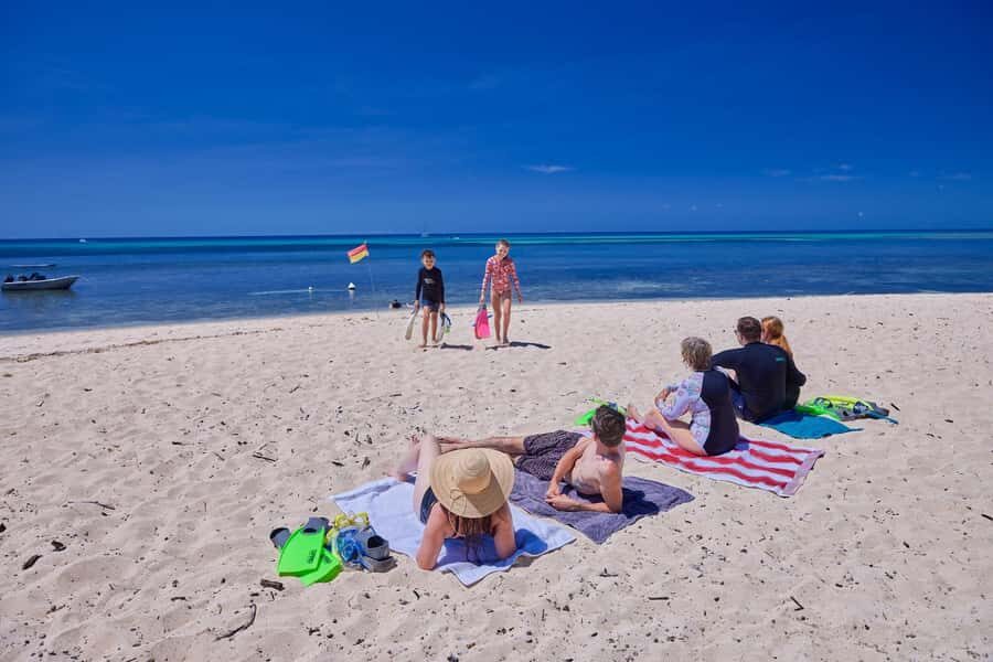 Cairns: Green Island Full-Day Tour with Diving - Introduction