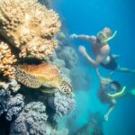 Cairns: Green Island, Snorkelling and Glass-Bottom Boat - Firsthand Insights from Reviews