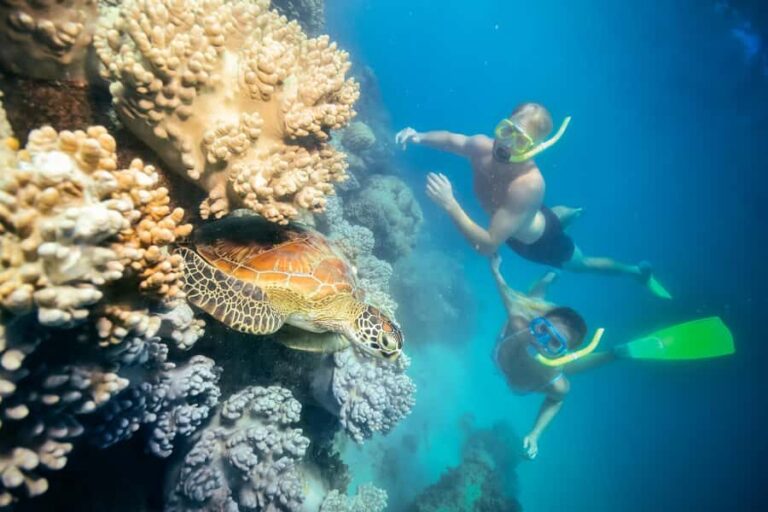 Cairns: Green Island, Snorkelling and Glass-Bottom Boat - Firsthand Insights from Reviews