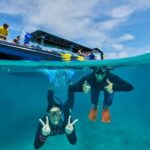 Cairns Half Day Tour a Great Barrier Reef Snorkeling Experience - Practical Tips for Your Reef Day