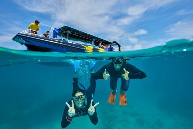 Cairns Half Day Tour a Great Barrier Reef Snorkeling Experience - Practical Tips for Your Reef Day