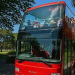 Cairns Hop on Hop Off - Why This Tour Works Best for You