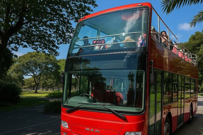 Cairns Hop on Hop Off - Why This Tour Works Best for You