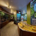 Cairns Koalas & Creatures at the Pier - Practical Aspects