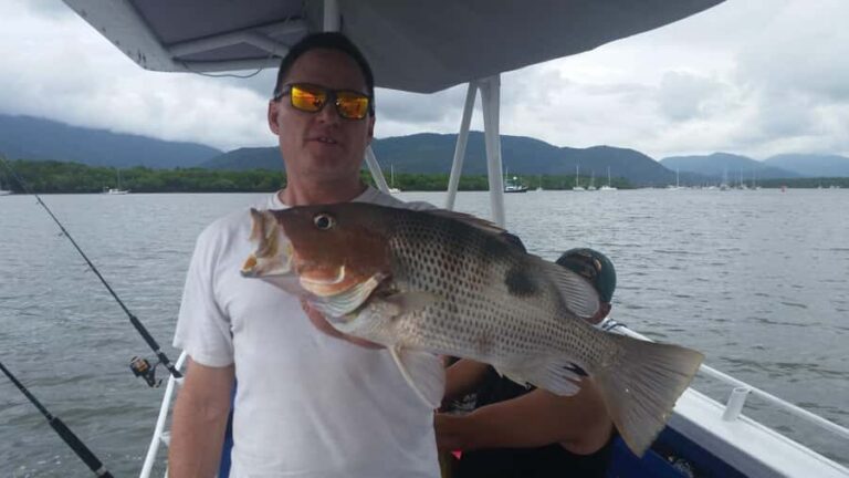 Cairns: Morning Estuary Fishing Charter - Why This Tour Is Worth It
