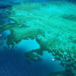 Cairns: Outer Edges of The Great Barrier Reef Scenic Flight - Who Will Love This Tour?