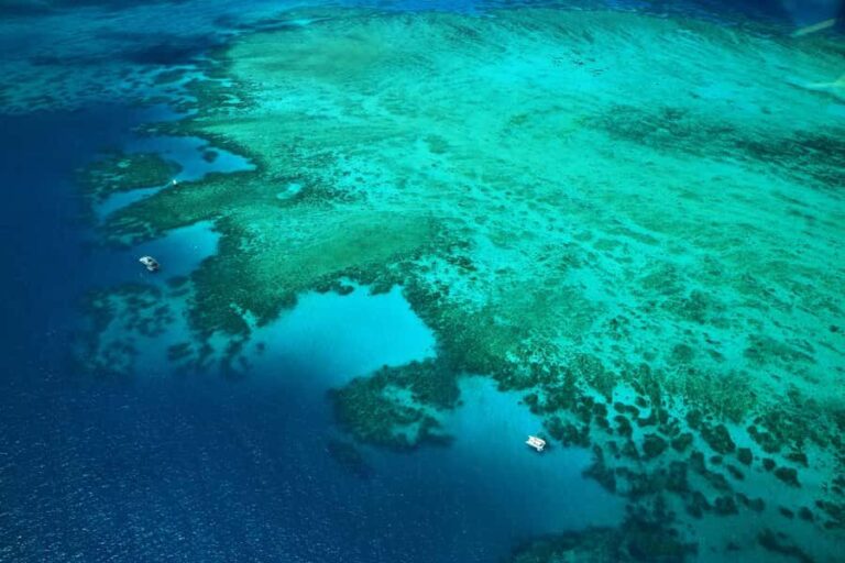 Cairns: Outer Edges of The Great Barrier Reef Scenic Flight - Who Will Love This Tour?