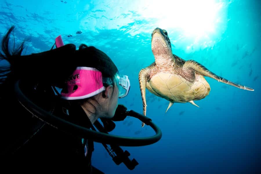 Cairns: Pro Dive 5 Day Learn to Dive Great Barrier Reef - What to Expect on Each Day
