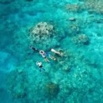 Cairns: Snorkelling and Diving Reef Day Trip - The Itinerary Breakdown