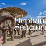 Cambodia Elephant Sanctuary and Banteay Srey Temple Tour - Who Will Love This Tour?