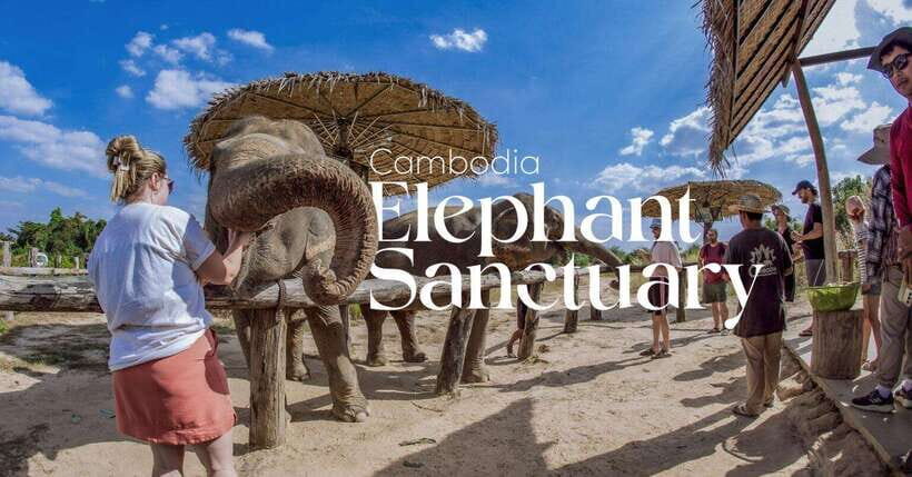 Cambodia Elephant Sanctuary and Banteay Srey Temple Tour - Who Will Love This Tour?