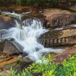 Cambodia Elephant Sanctuary and Banteay Srey Temple Tour - Practical Details and What to Expect