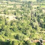 Cambodia in 2 Days: Nature, Culture & Heritage - Day 1: From Phnom Penh to Kampong Chhnang’s Floating Villages and Waterfall