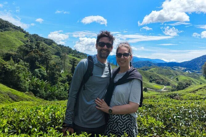Cameron Highlands Day Tour from Ipoh -Tea Plantation - Why This Tour Could Be Your Best Cameron Highlands Snapshot