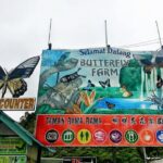 Cameron Highlands Day Tour From Kuala Lumpur 2025 - A Closer Look at the Cameron Highlands Day Tour