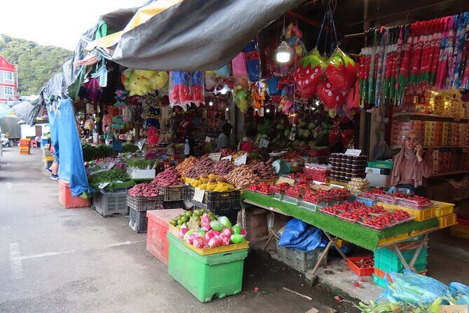 Cameron Highlands Day Tour From Kuala Lumpur 2025 - Practical Considerations & Value