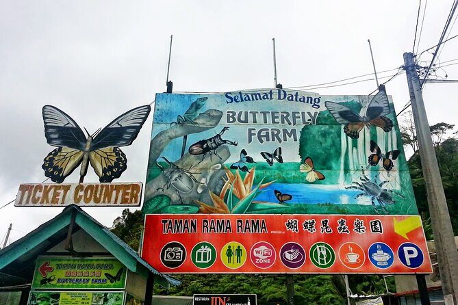 Cameron Highlands Day Tour From Kuala Lumpur 2025 - A Closer Look at the Cameron Highlands Day Tour