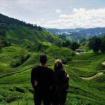 Cameron Highlands Full-Day Tour from Ipoh with Lunch - Who Will Love This Tour?