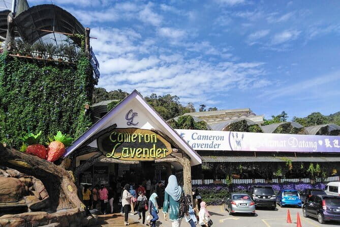 Cameron Highlands Multi Days Tour - The Itinerary in Detail